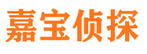 广平市侦探公司